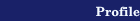 Company Profile